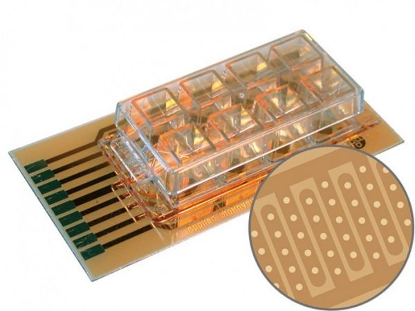 ECIS Cultureware 8W10E+ PET