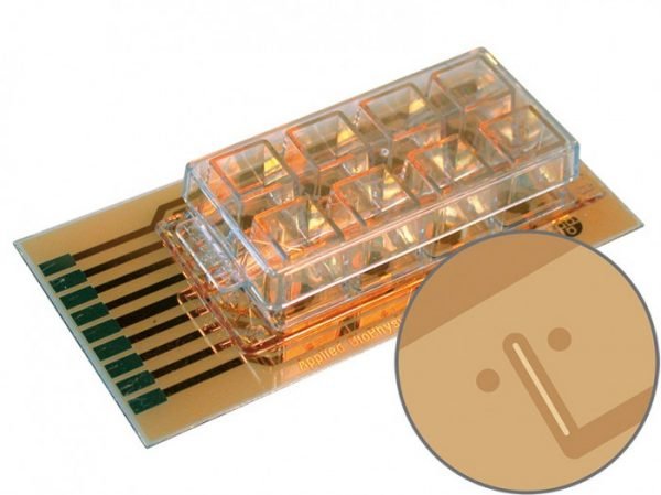 ECIS Cultureware 8W1LE (8W1CXE) PET