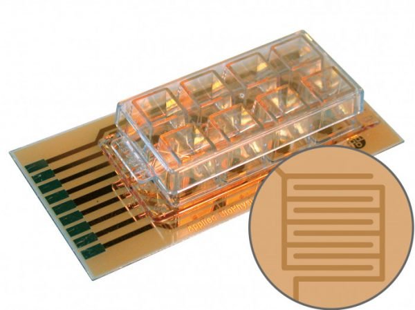 ECIS Cultureware 8W20idf PET