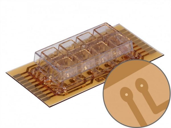 ECIS Cultureware 8W2X1E