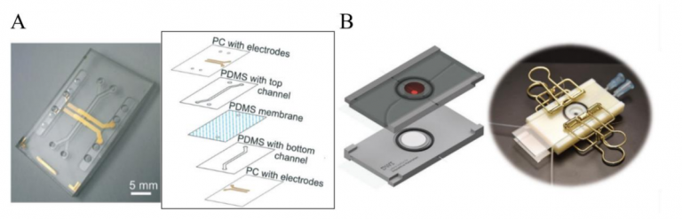 Precision Meets Flexibility: The ISX‑3 for Advanced Bioimpedance Research