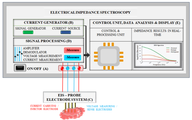 A block diagram illustrating the architecture of an Electrical Impedance Spectroscopy (EIS) system, used for differentiating between healthy and cancerous lung tissues.